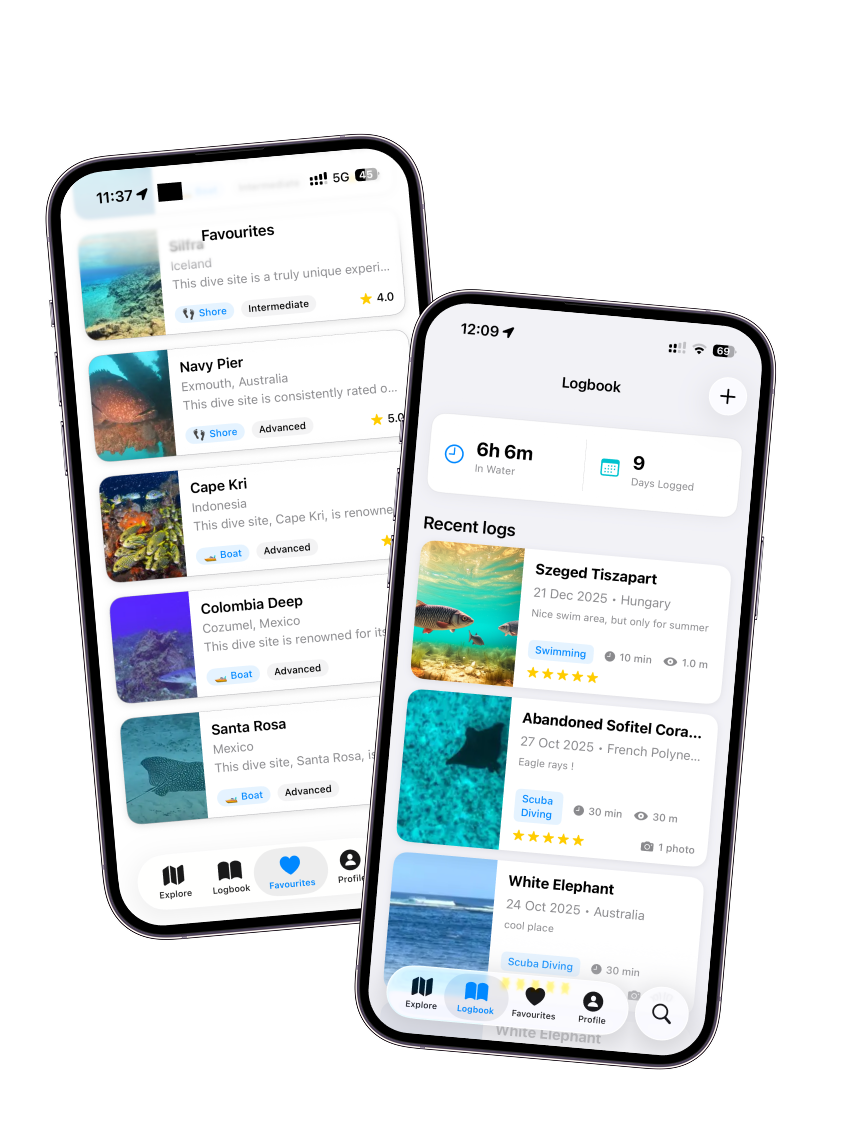 WikiBubbles dive logbook